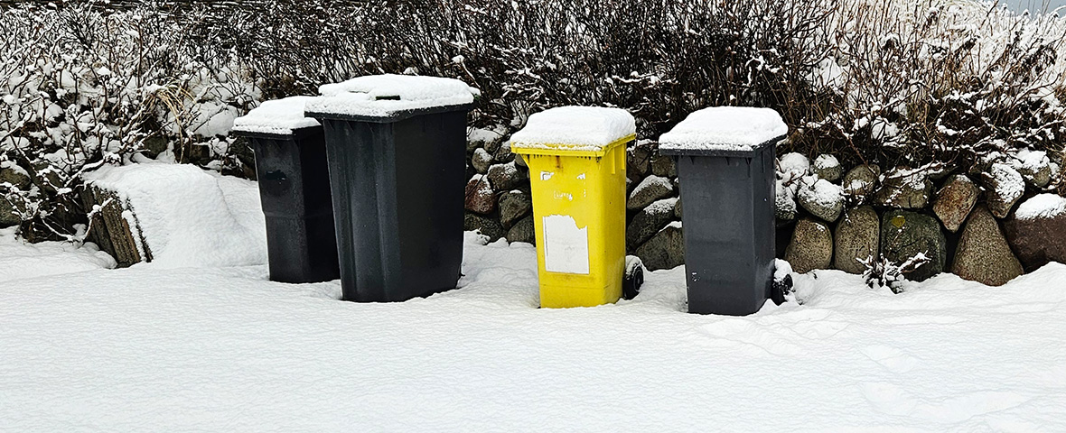 Foto:  Vier Gelbe Tonnen a 240-Liter Fassungsvermögen