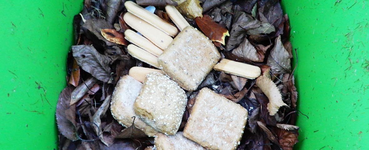 Foto: Blick in eine Biotonne voller Essensreste